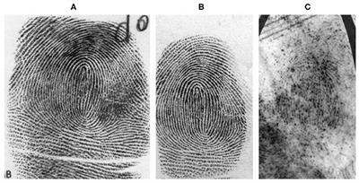 CNNAI: A Convolution Neural Network-Based Latent Fingerprint Matching Using the Combination of Nearest Neighbor Arrangement Indexing